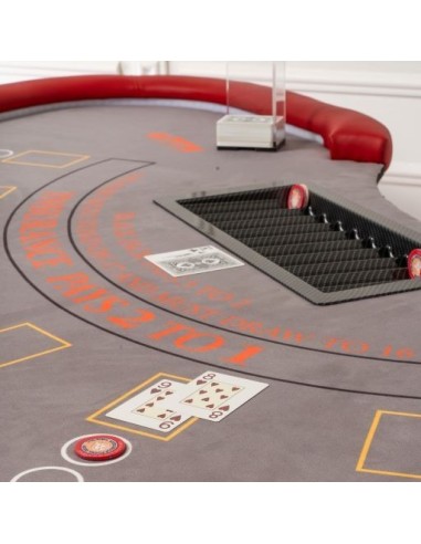 PANNO PROFESSIONALE PERSONALIZZATO...